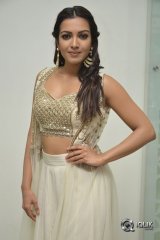 Catherine Tresa At Goutham Nanda Movie Success Meet